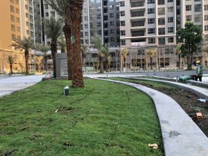 Khuôn viên nội khu Westgate Bình Chánh giai đoạn hoàn thiện tháng 02/2023