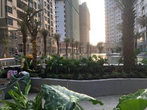 Các tháp căn hộ Westgate Bình Chánh hoàn thiện tháng 02/2023