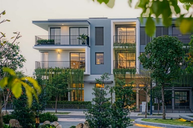 The Standard Bình Dương Tam Cận: Cập Nhật Sau Bàn Giao