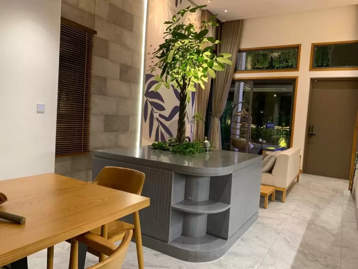 Đảo bếp và cây xanh giữa nhà trong phương án nội thất nhà phố The Standard